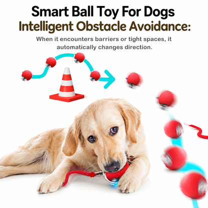 SparkSeasons™ SmartPlay Interactive Ball