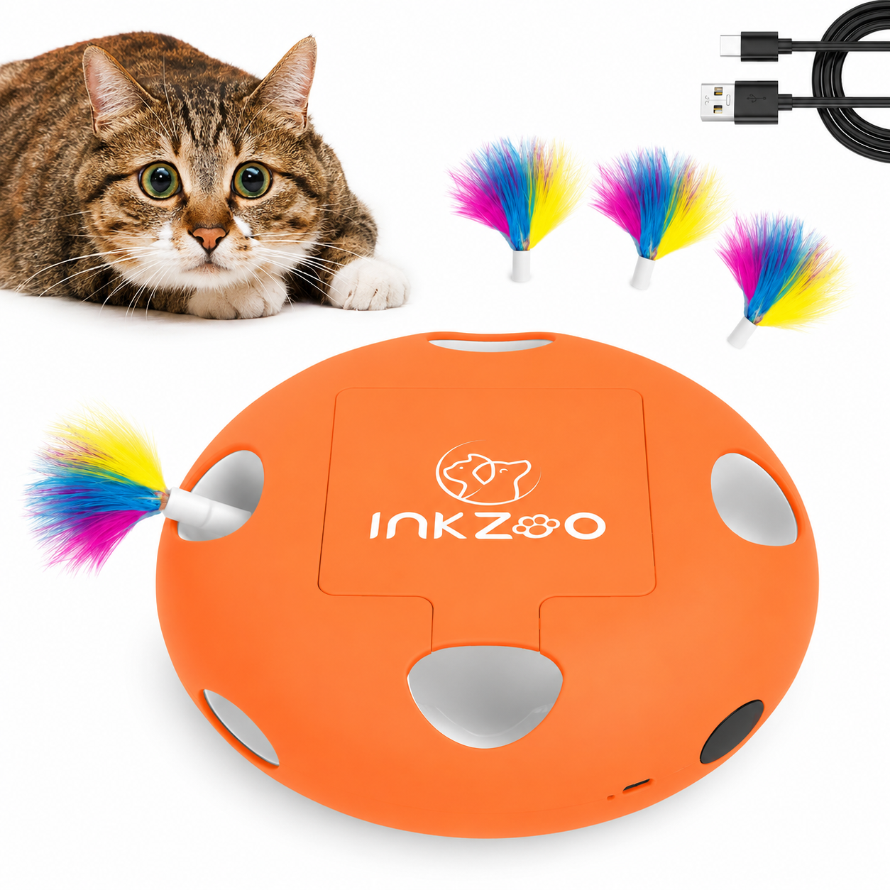 SparkSeasons™ WhiskerPlay™ Interactive Cat Toy