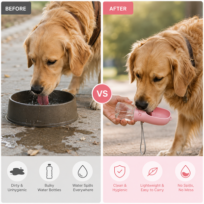 SparkSeasons™ 2-in-1 Pet Bottle