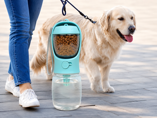 SparkSeasons™ 2-in-1 Pet Bottle