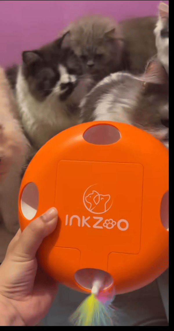 Customer story video thumbnail